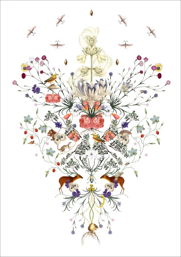 ART_Herb_2