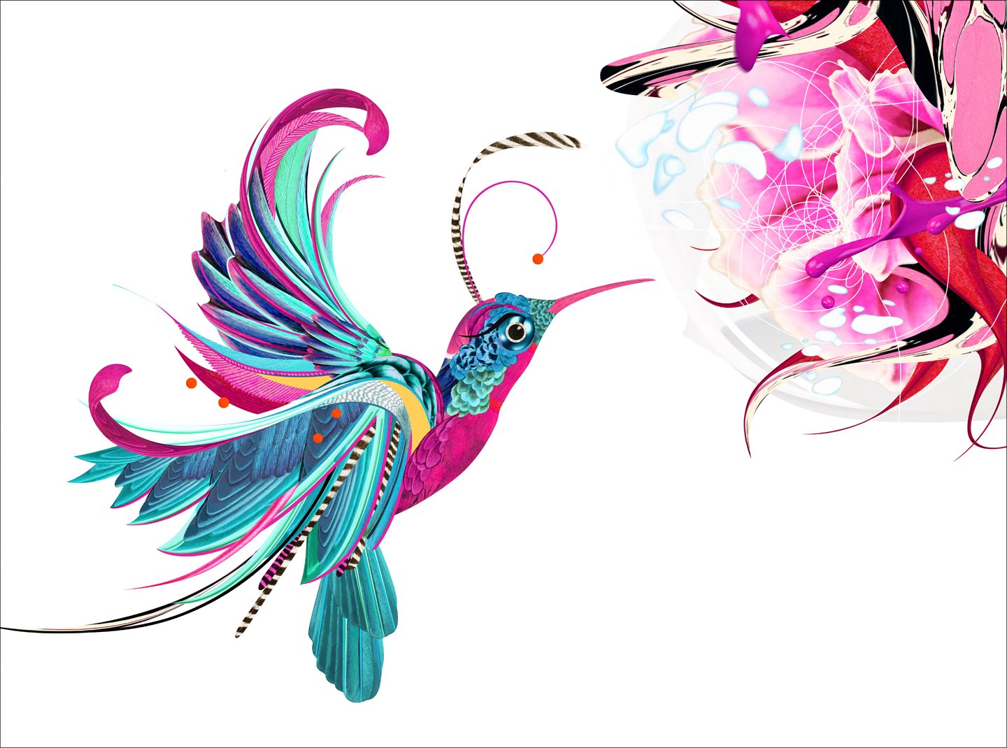 ART_Koliber (1)_2
