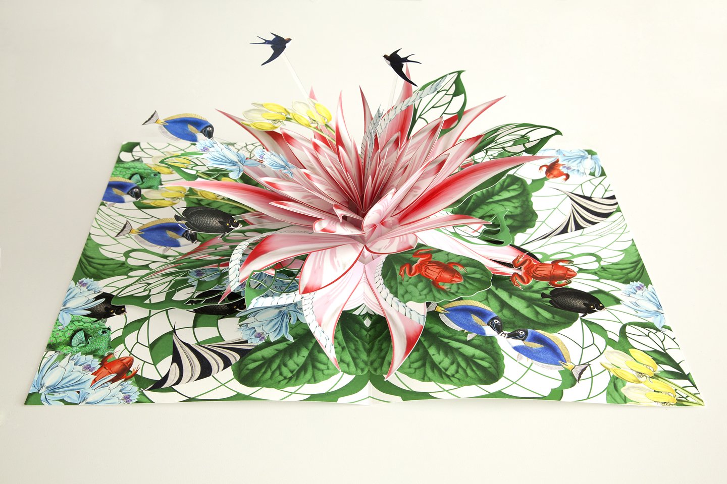 ART_Lotus_pop_up_Bozka_2